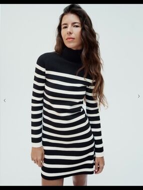 Zara | Dresses | Nwt Zara Short Knit Turtleneck Dress | Poshmark